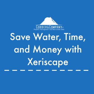 Save Water, Time, and Money with Xeriscape