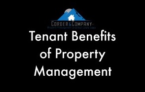 Property Management Blog